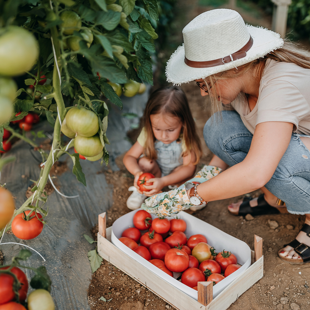 Fun Ways to Teach Your Little Ones About Harvesting Food And Cooking